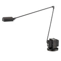 Daphine Table Light By Lumina