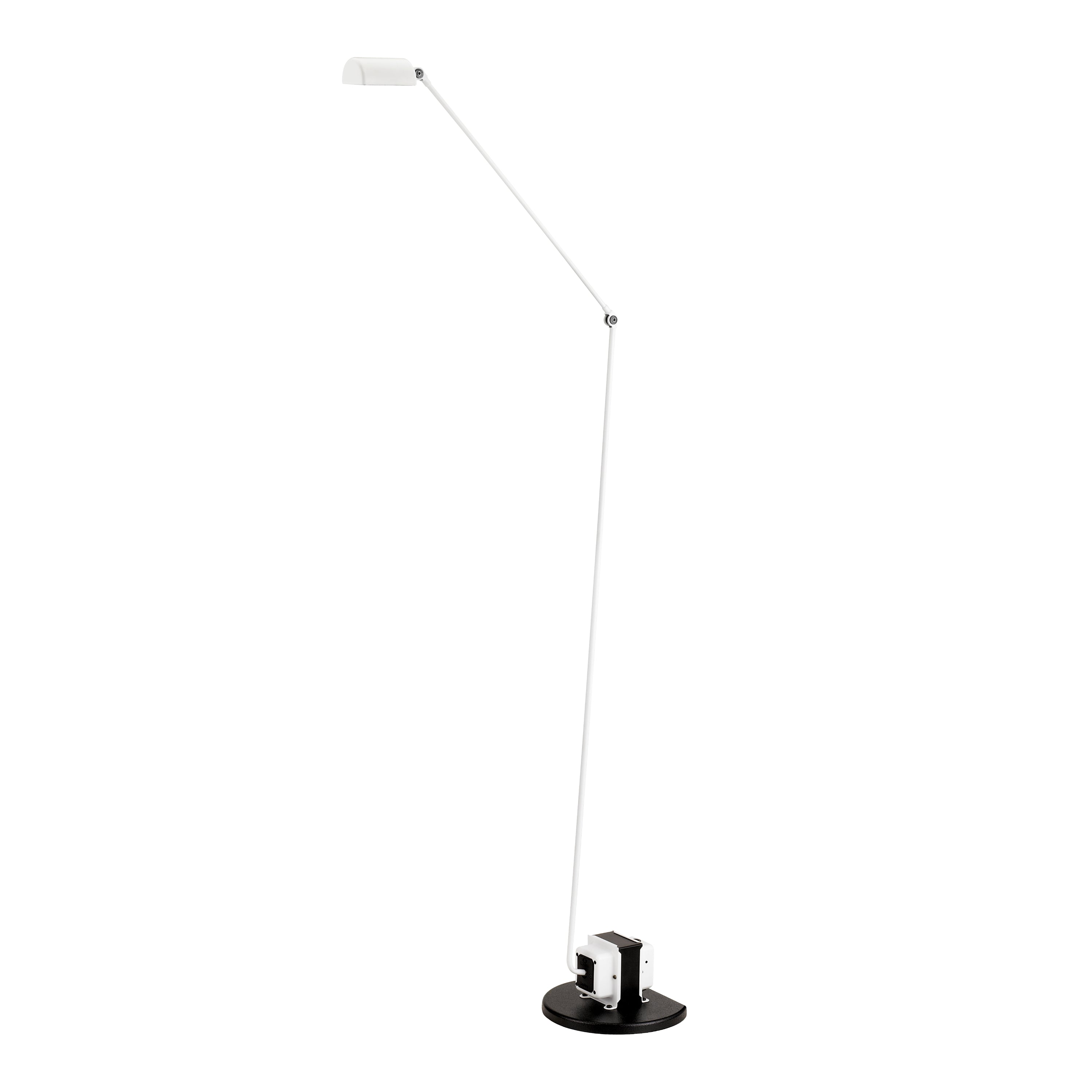Daphine Floor Light By Lumina