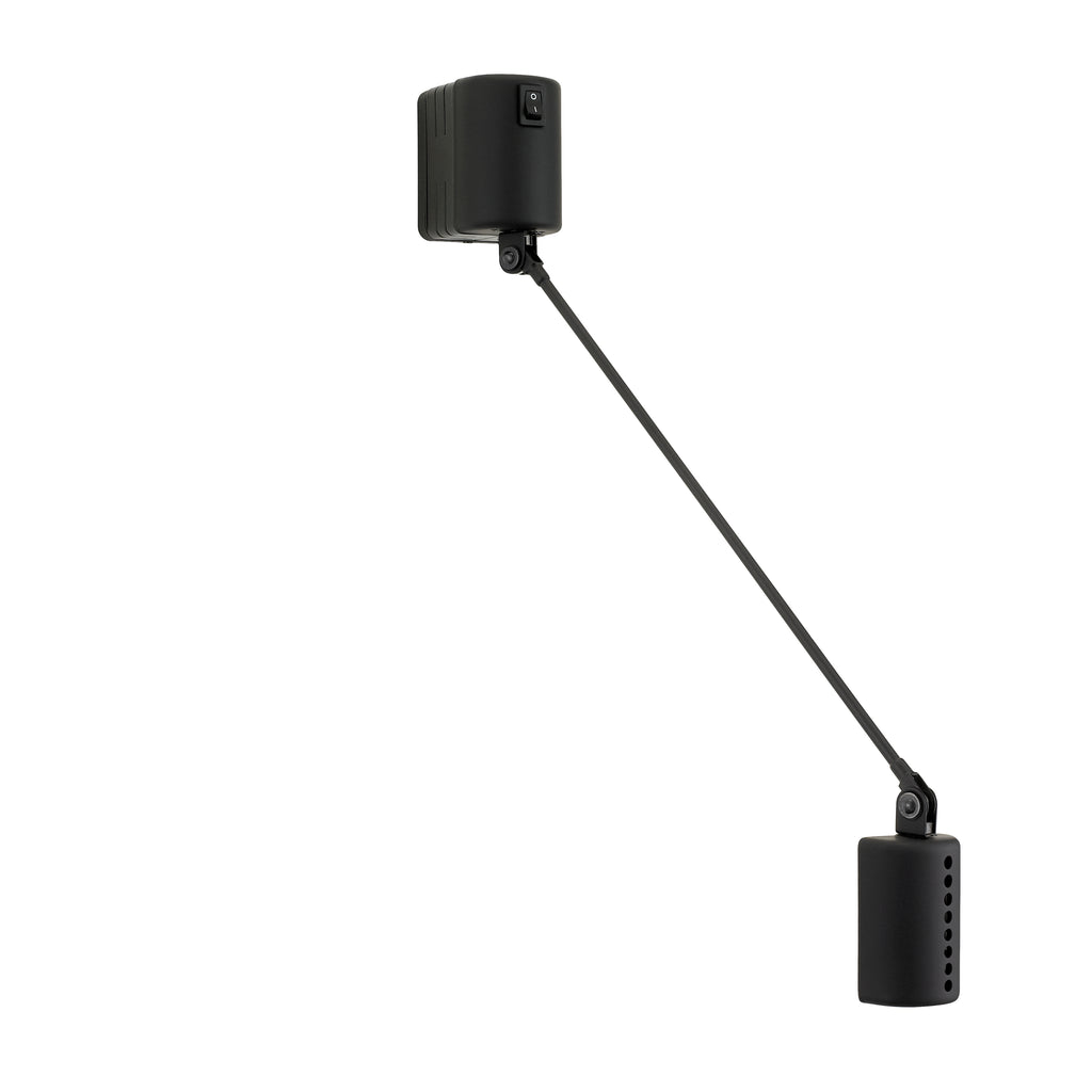 Daphine Wall Light By Lumina
