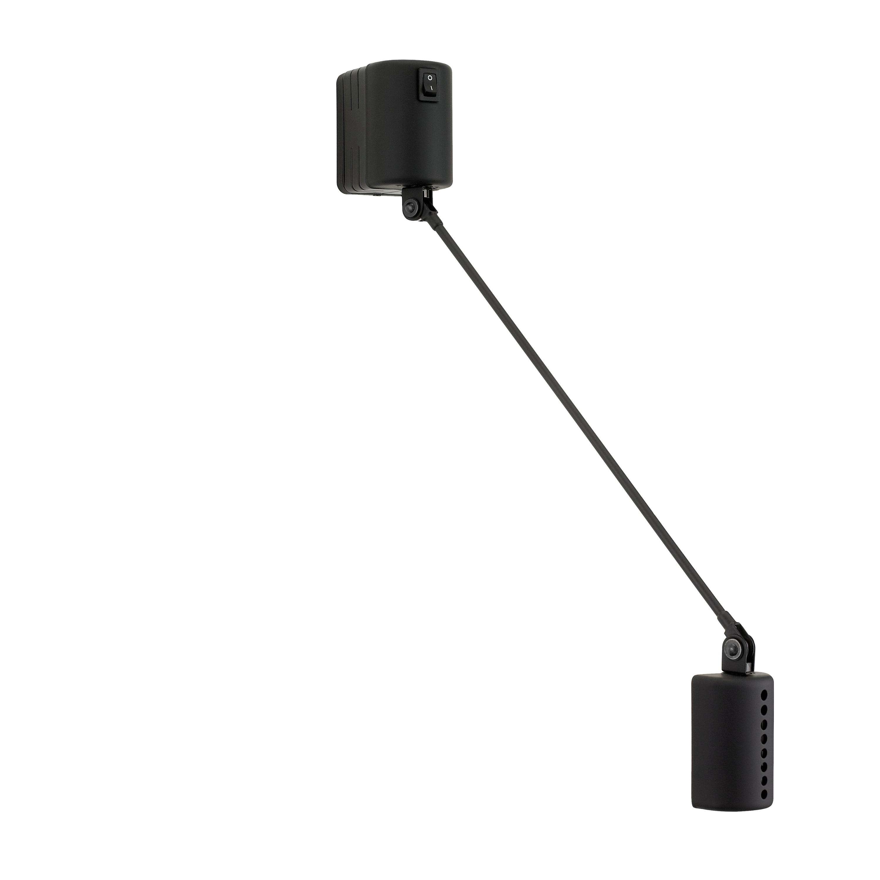 Daphine Wall Light By Lumina