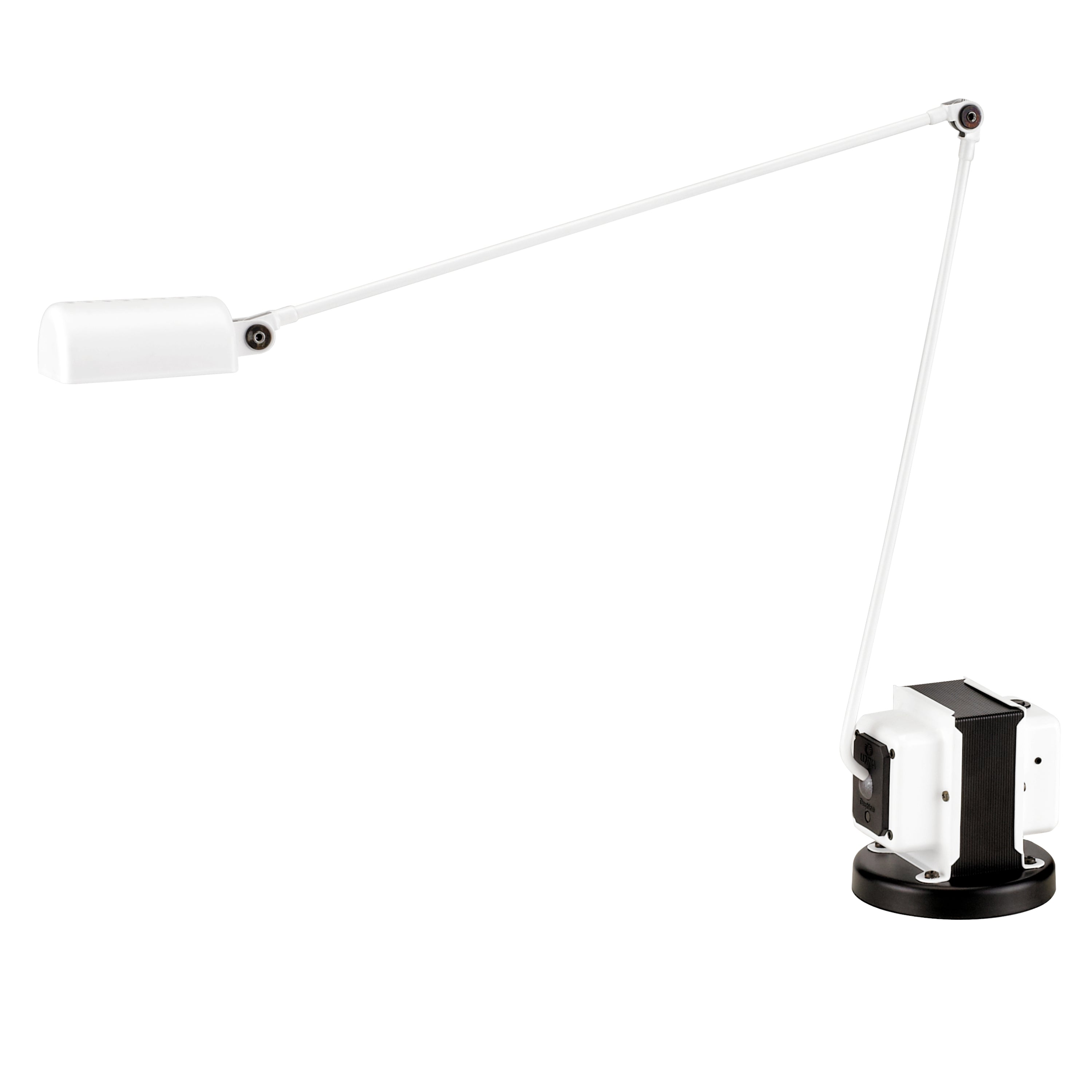 Daphine Table Light By Lumina