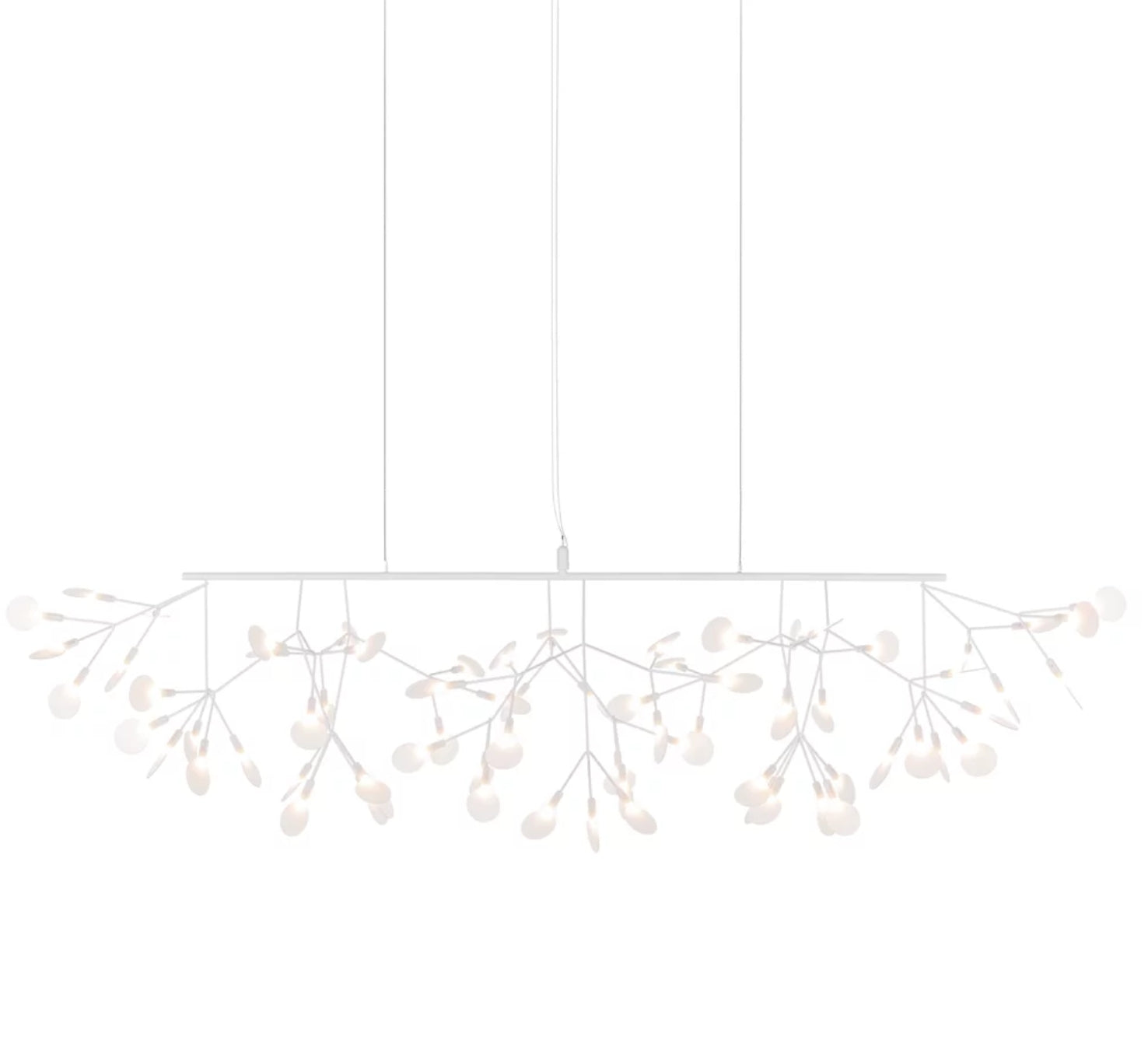 Heracleum III Linear By Moooi
