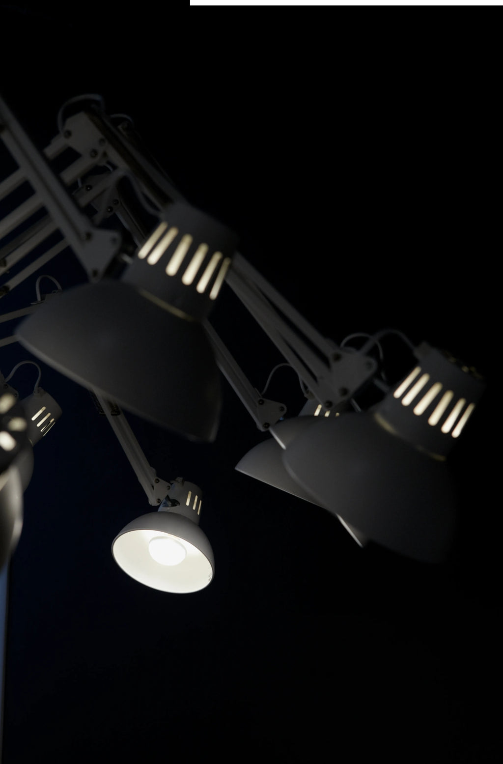 Dear Ingo By Moooi