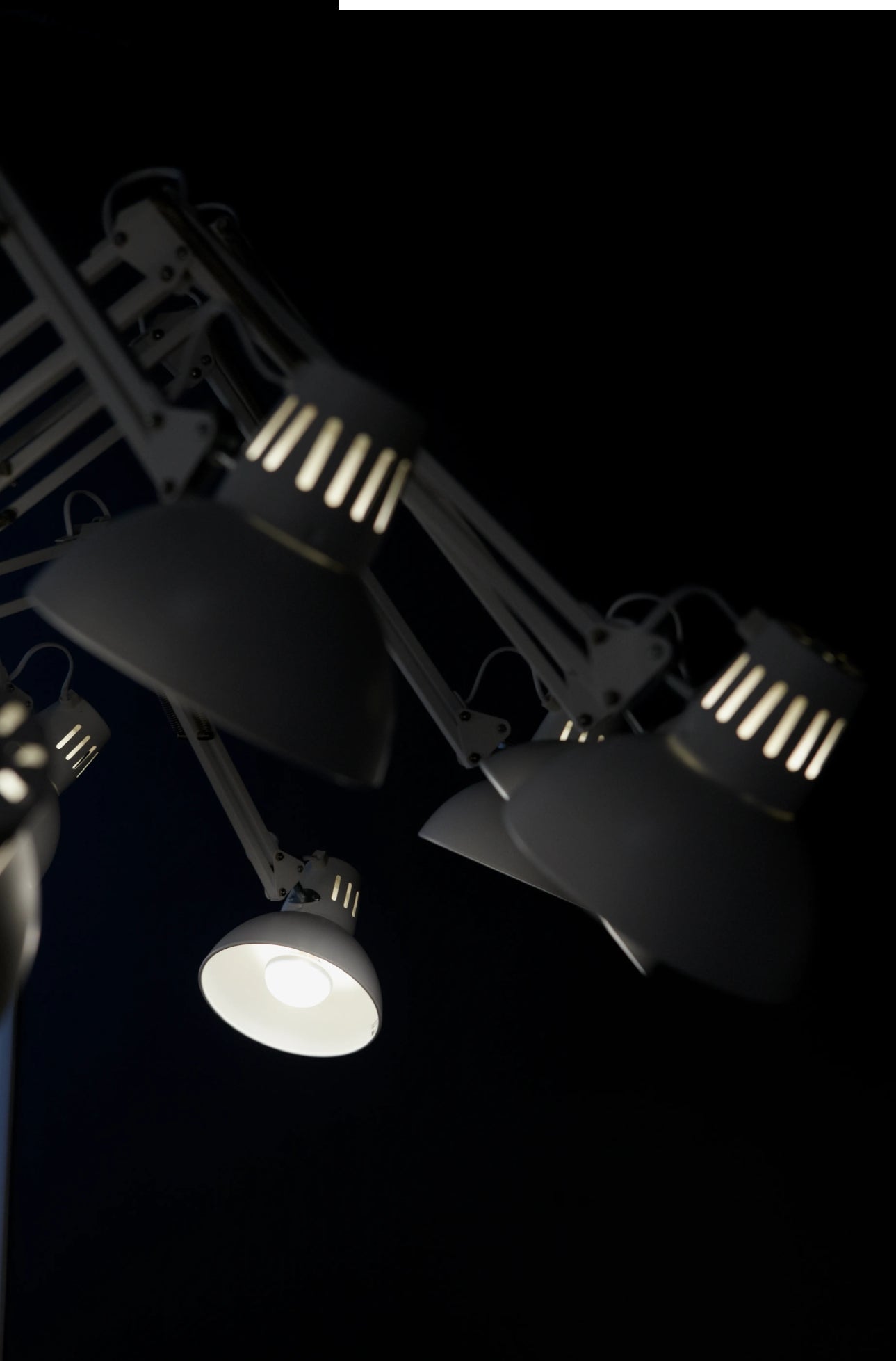 Dear Ingo By Moooi