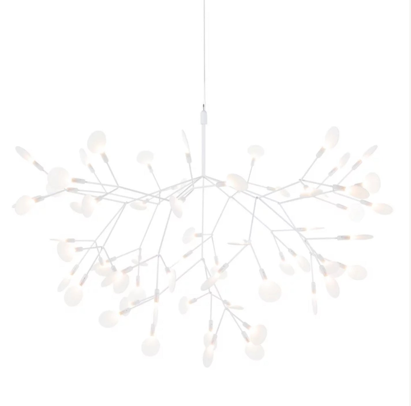 Heracleum III Suspended Large By Moooi