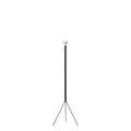 Luminator Anthracite By FLos