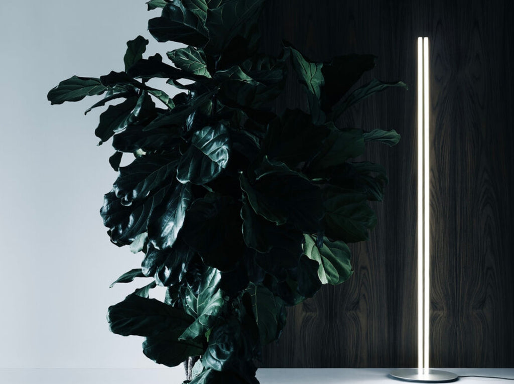 Coordinates Floor By Flos