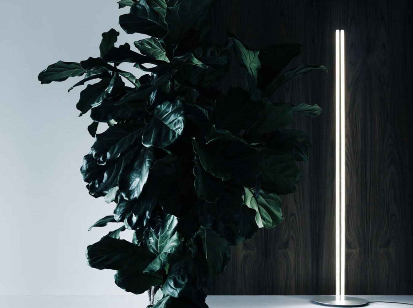 Coordinates Floor By Flos