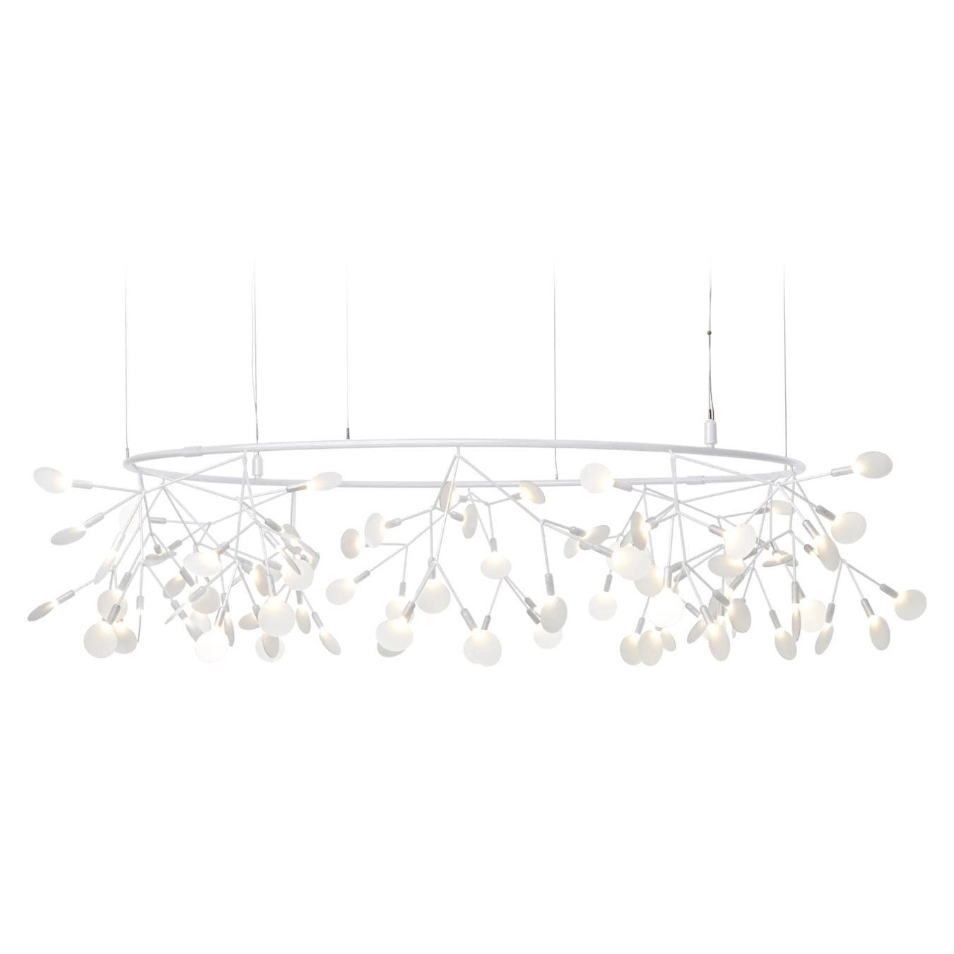 Heracleum III The Big O Small By Moooi