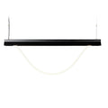 Tubelight By Moooi